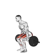 barbell hack squat