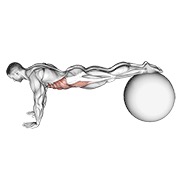 pull-in (on stability ball)