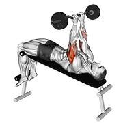 ez barbell decline close grip face press