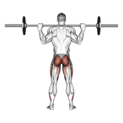 barbell full squat (back pov)