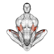 butterfly yoga pose