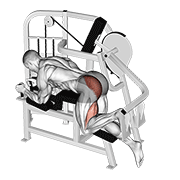 lever hip extension v. 2